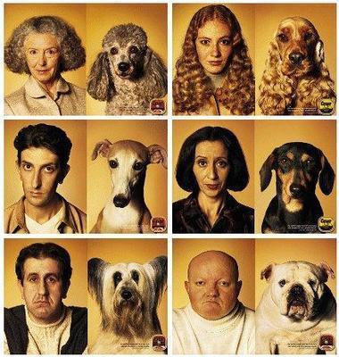 Tel maître, tel chien!!!!!!!!!Lol!!!!!!!!